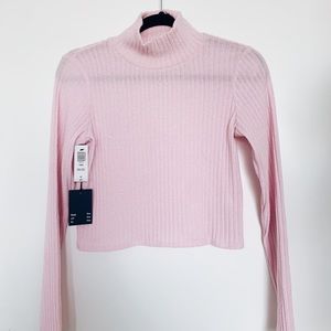 aritzia long sleeve ribbed light turtleneck